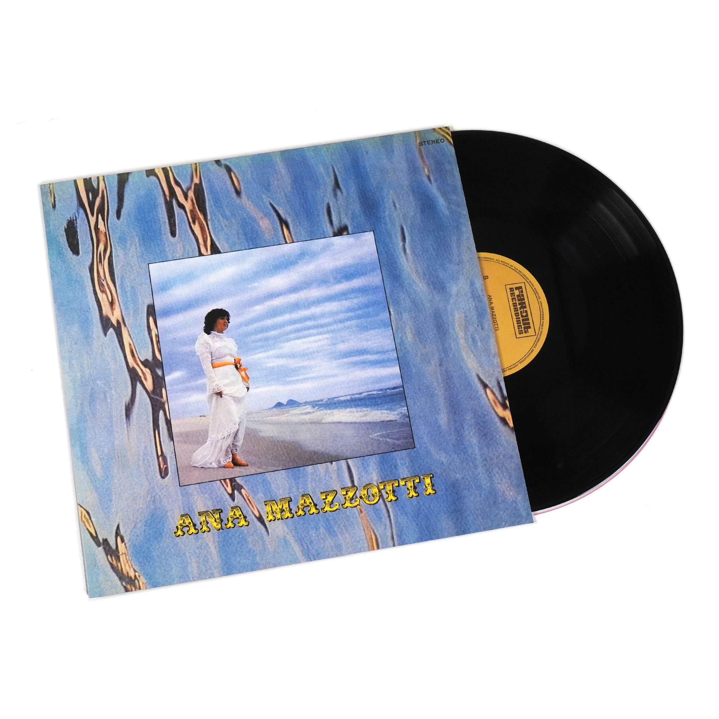 Mastering the Art of Vinyl